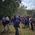 Festa dell’Albero, in Sicilia iniziative per rendere le città più verdi e contrastare il caldo