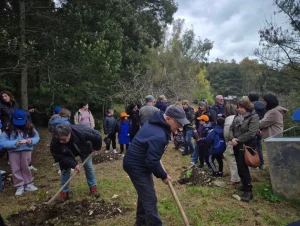 Festa dell’Albero, in Sicilia iniziative per rendere le città più verdi e contrastare il caldo