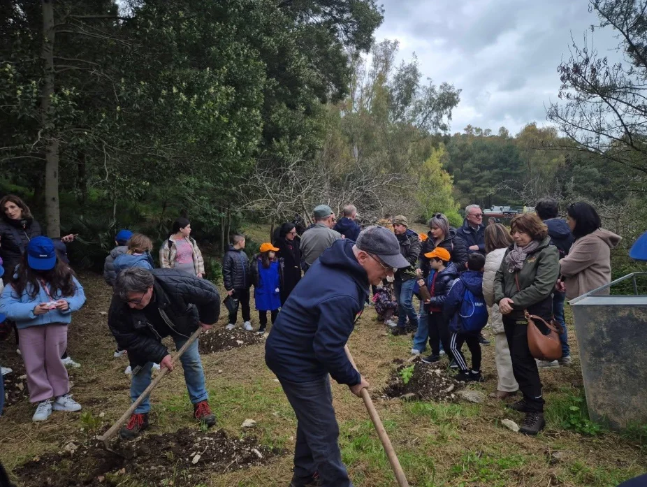 Festa dell’Albero, in Sicilia iniziative per rendere le città più verdi e contrastare il caldo