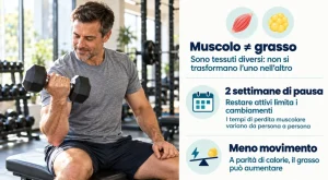 Muscoli diventano grasso se smetto di allenarmi? Verità spiegata in breve tempo
