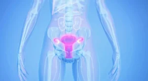 Menopausa: ovaie continuano a funzionare e cambiare sorprendentemente. Scoperta incredibile svelata!