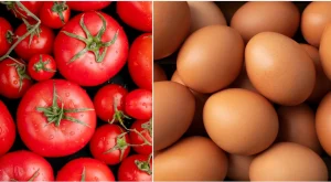 Allerta salmonella: ritiri uova e divieto pomodorini crudi nelle mense. Scopri dettagli e lotti.