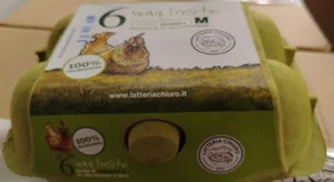 Uova fresche richiamate per Salmonella Enteritidis: scopri marca e lotti interessati.