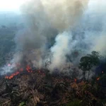 Politiche per il futuro dell’Amazzonia in pericolo nelle elezioni presidenziali brasiliane: cosa cambierà?