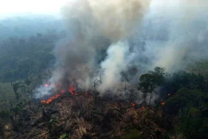 Politiche per il futuro dell’Amazzonia in pericolo nelle elezioni presidenziali brasiliane: cosa cambierà?