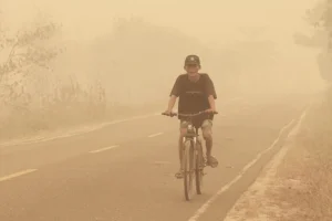 Indonesiani denunciano censura sui post sui incendi e la nebbia su social media.