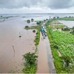 Attendere El Niño: esperto preoccupato per fame crescente in Est e Sud Africa.