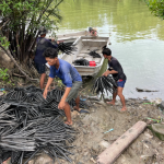 Mangrovie artificiali proteggono la costa in Thailandia: una soluzione innovativa contro l’erosione.