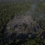 Disboscamento nella foresta amazzonica e savana del Cerrado in Brasile al tasso più basso mai registrato.