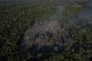 Disboscamento nella foresta amazzonica e savana del Cerrado in Brasile al tasso più basso mai registrato.