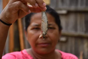 Diga sull’Xingu: impatto ambientale e minacce a un prezioso ecosistema amazzonico.