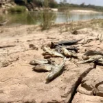 Inquinamento continua in miniera Zambiana Vedanta nonostante passato legale. 

Titolo: “Inquinamento persistente in miniera Vedanta dello Zambia nonostante causa giudiziaria”