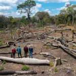 Nuovo strumento svela assedio su terre indigene nella foresta amazzonica della Bolivia.