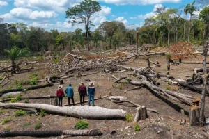 Nuovo strumento svela assedio su terre indigene nella foresta amazzonica della Bolivia.