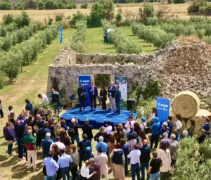 Mapei consegna 1.500 ulivi agli agricoltori di Olivami. Una nuova era per l’agricoltura.