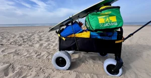 Carrello telecomandato: un mix di divertimento e praticità che non ti aspetti.