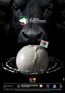 Mozzarella Dop e World Buffalo Congress a Sorrento: evento imperdibile dal 28 al 30 ottobre
