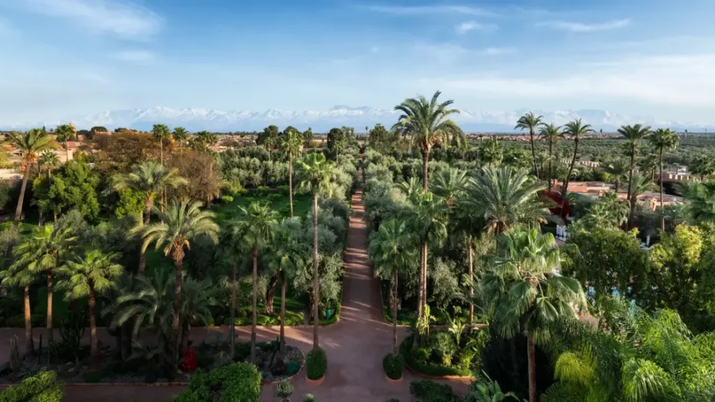 I migliori hotel in Africa: vincitori 2026 Readers’ Choice Awards. Scopri le perle dell’Africa!