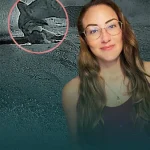 Perché i linci lavano il cibo? Scopri il motivo dietro questo strano comportamento!