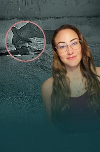 Perché i linci lavano il cibo? Scopri il motivo dietro questo strano comportamento!