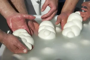 Registro unico del latte: filiera bufalina e nascita di un nuovo sistema di tracciabilità.