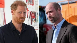 La dolorosa scoperta di Harry: “Non sapevo che la gioia fosse ancora permessa”.