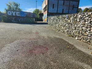 Giovane accoltellato e ucciso al parco Dora a Torino, fermato il presunto assassino