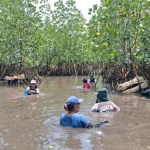 Donne indonesiane guadagnano dalla ricostruzione delle mangrovie: Intervista con Wisye Sahambangung, leader comunitaria.