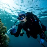 Studio: Probiotici salvano coralli dallo sbiancamento durante ondata di calore nel Mar Rosso.