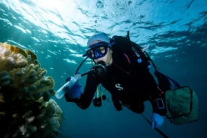 Studio: Probiotici salvano coralli dallo sbiancamento durante ondata di calore nel Mar Rosso.