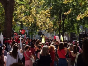 Sciopero scuole e scontri: Consulte studentesche contro violenza e danni, chiedono rispetto.