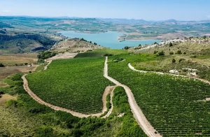 Giornata del Paesaggio Vitivinicolo in Italia: Scopri le bellezze delle nostre terre!