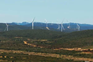 Boom data center brasiliano grazie a aziende energie rinnovabili, scoperta indagine.