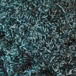 Un prodotto chimico impedisce l’infiammabilità della farina di pesce, sollevando preoccupazioni sul cancro. 
“Protezione antincendio per farina di pesce solleva allarme cancerogeno”
