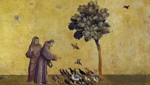 San Francesco, 800 anni dalla morte: Rai 1 celebra il Santo con ospiti e anticipazioni