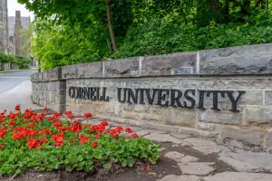 Violenza di gruppo sanzionata con tema sul consenso alla Cornell University