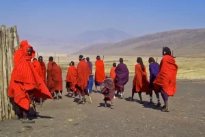 Finanza e diritti indigeni al centro dell’agenda africana al summit sulla biodiversità di Yerevan.
