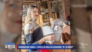 Femminicidio di Pamela Genini: mistero della profanazione e DNA sulla tomba a un anno di distanza