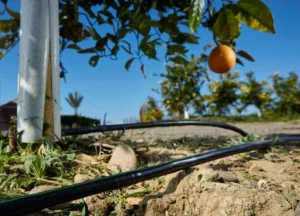 Sicilia, risparmiare acqua è la nuova sfida green: dall’irrigazione intelligente al recupero delle risorse