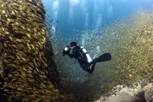 Intervista al fotografo Sirachai Arunrugstichai: svelando la bellezza del mare in Thailandia.